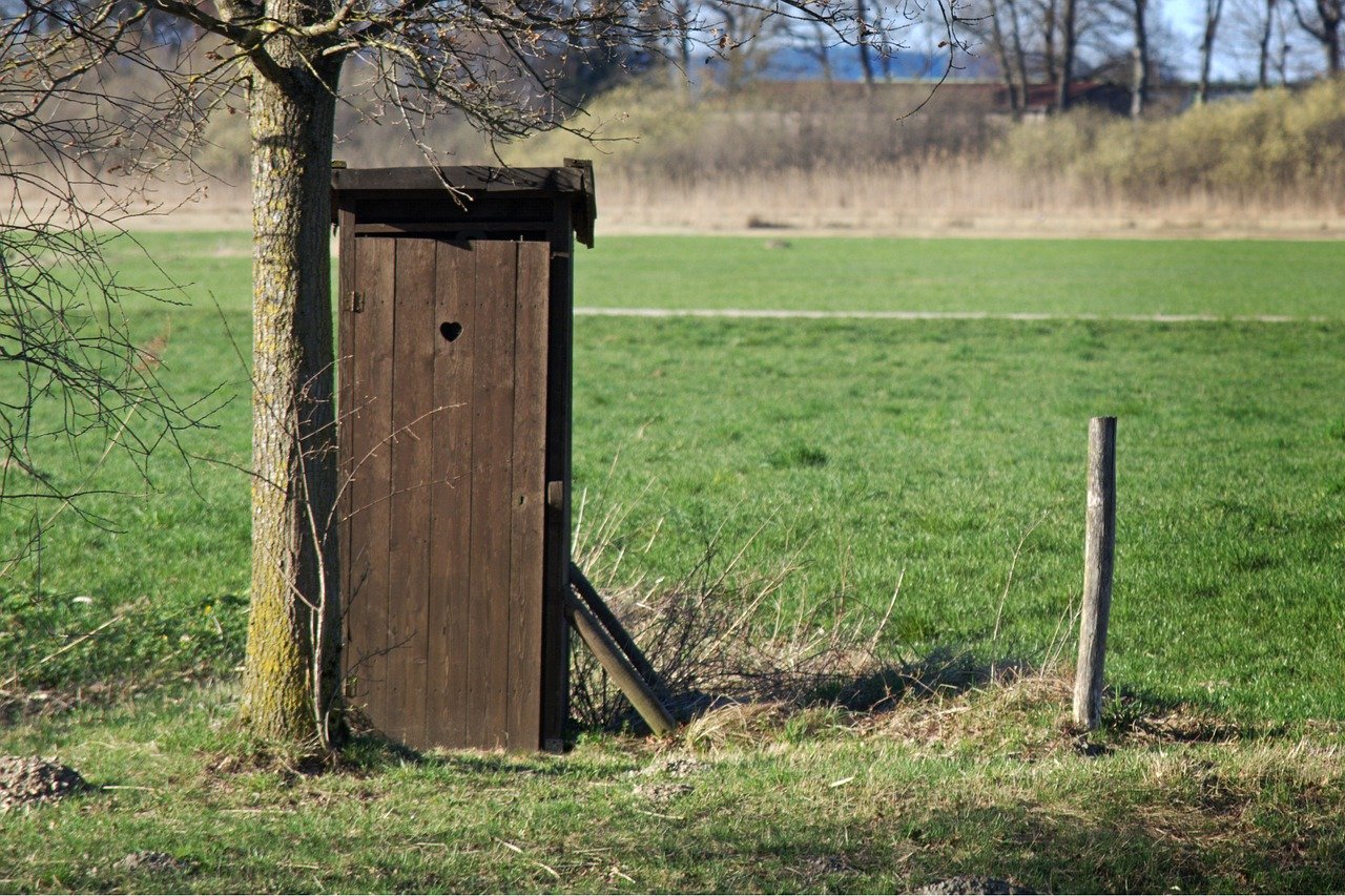 Aalschokker Aranka