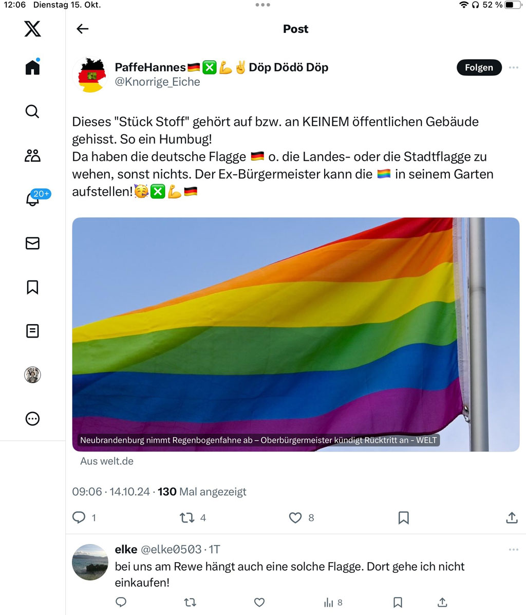 AfD Hetze gegen Vielfalt und Regenbogenfahne